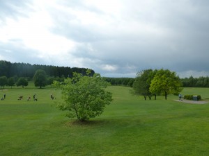 Natürliche Driving Range im GolfClub Starnberg