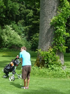 Golfen im alten Schlosspark Maxlrain