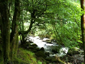 Wasserfall im Naturschutzgebiet: Die Kraft der Natur wird in Irland deutlich