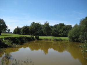 Schön und gefährlich sind die Teiche